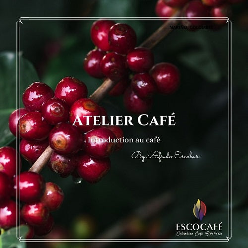 Atelier ESCOCAFÉ - Introduction au café by Alfredo ESCOBAR