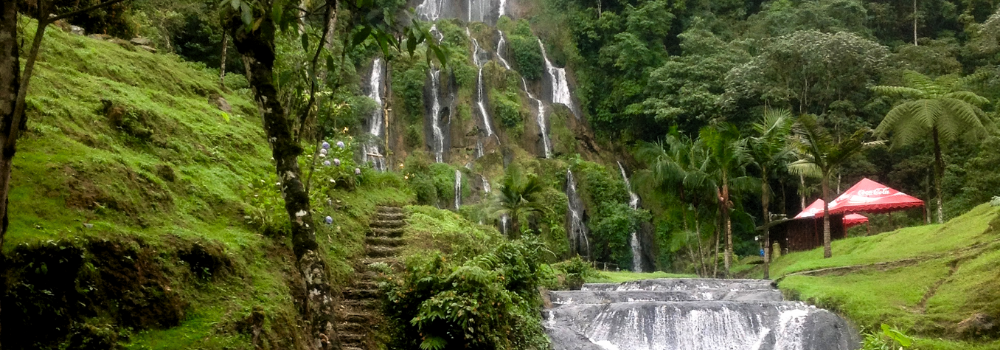 Voyages en Colombie : Explorez Santa Rosa de Cabal et La Finca del Café